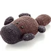Pithy Platypus pattern 