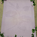 Blanket of Morning Glory Magick pattern