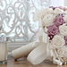 May Roses photo 3