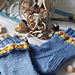 Tiny Sea Shell Socks pattern