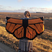 Monarch Butterfly Shawl pattern 