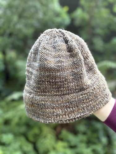 Sileahatt - Meiju Kallio