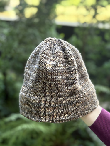 Sileahatt - Meiju Kallio