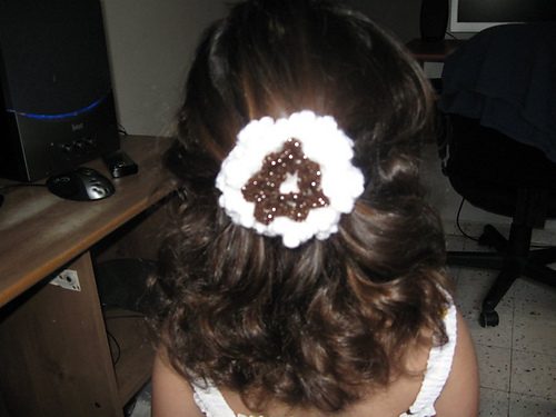 Chrysanthemum Flower photo 2