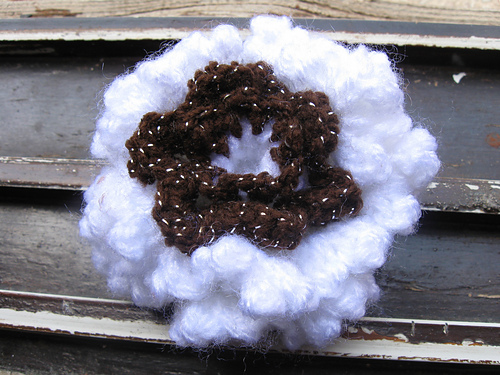 Chrysanthemum Flower photo 1
