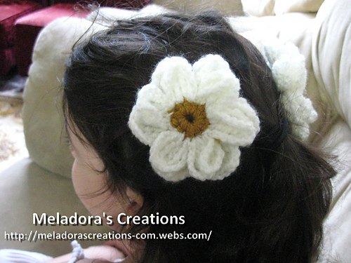 Daisy Flower & Clip photo 1
