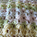 Black Berry Lace Scarf photo 4