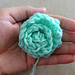 Rose photo 3