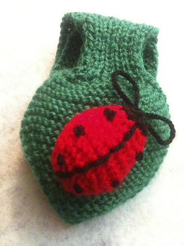 Ladybird photo 6
