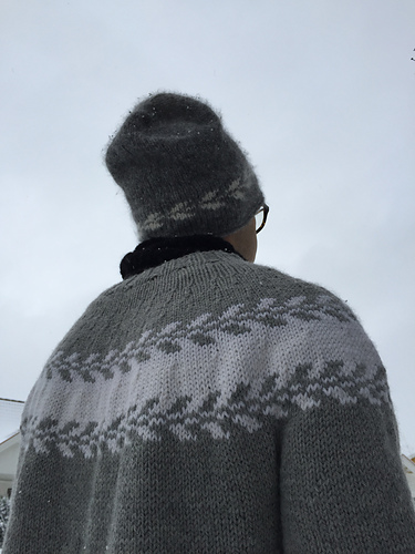 Mannens Mary - Marianne J. Bjerkman