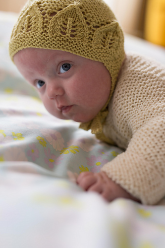 Bladrillekyse / Garter leaves lue - Marianne J. Bjerkman