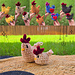 Stardew Valley Chicken pattern