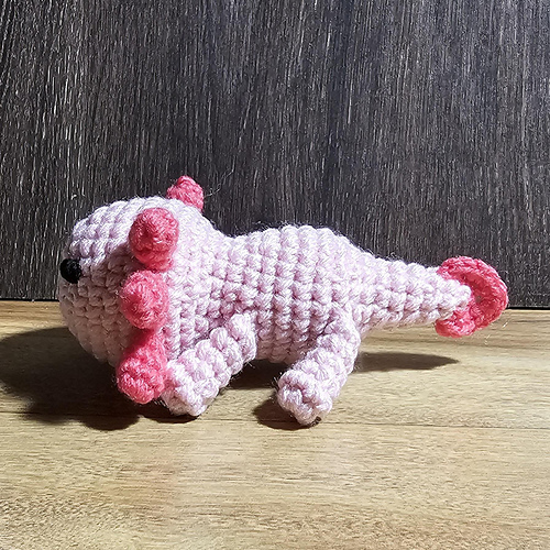 Lucy the Axolotl Amigurumi photo 6