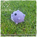 Chibi Koffing (pokemon) photo 3