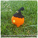 Chibi Pumpkaboo (pokemon) photo 3