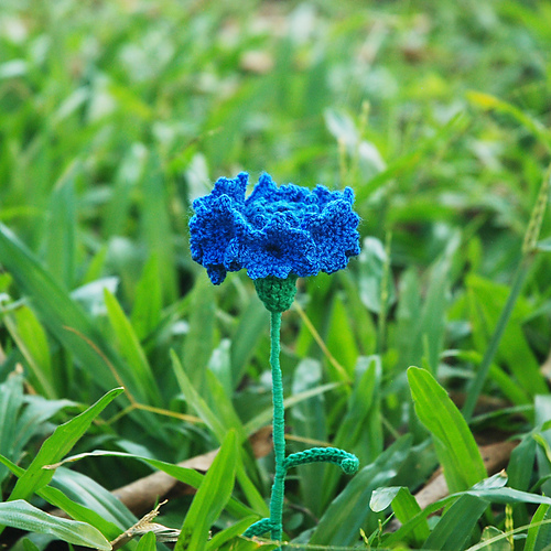 Ravelry Cornflower for Ukraine pattern by Roseanna Murray