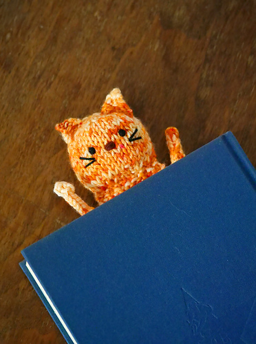 Inside Cat photo 5