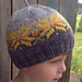 Starfall Moods Hat pattern 