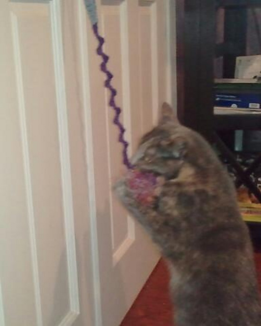 Ravelry MoonT's Door Hanger Bouncy Cat Toy