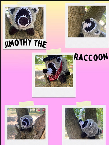 Jimothy the Raccoon