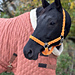 Fashions halter pattern 