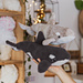 Freya the Orca pattern