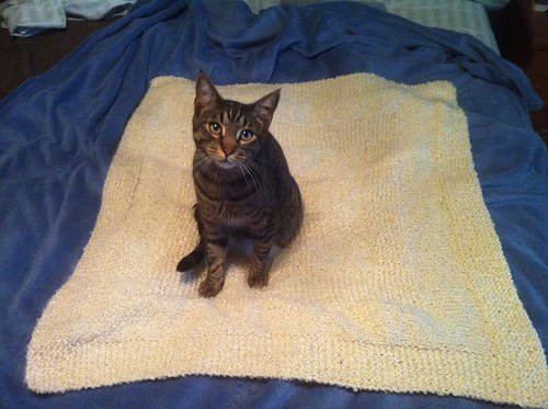 Concentric Squares Baby Blanket photo 5