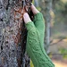 Frigg's Mitts pattern 