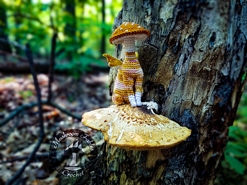 Kitty Cap Mushroom Fae - Fantasi-katt Ferndyr (eller Fantasi-katt Faerie) - Mushroom Fables Crochet