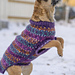 Beeda Dog Sweater pattern 