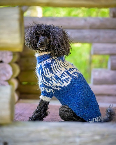 Talviyö Dog Sweater