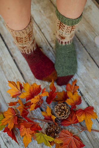 Autumn socks