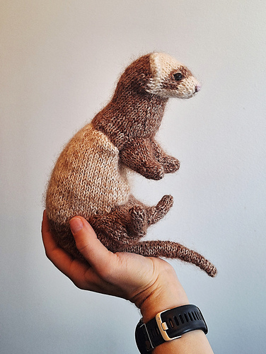 Little Ferret