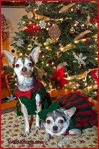 Bebe's Holiday Pet Sweater photo 3