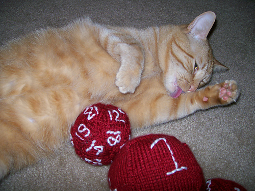 Cat dice toys photo 1