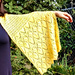 Forsythia Stole pattern 