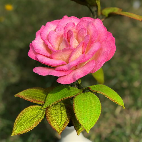 Hansel Roses Ravelry: Handel Rose pattern by Natagor Finlayson