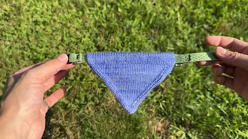 Sidekick Bandana