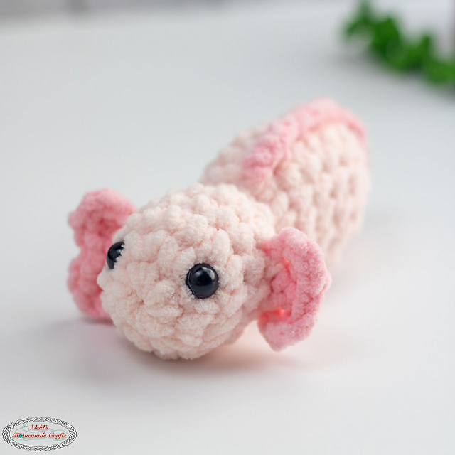 Baby Axolotl