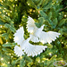 Turtle Doves Ornament pattern