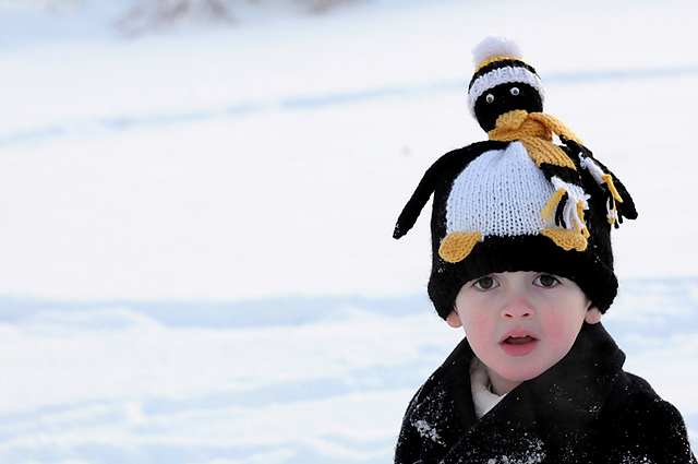 Pucky Penguin Hat