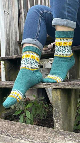Sunflower Field Socks