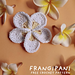 Frangipani Appliquée pattern