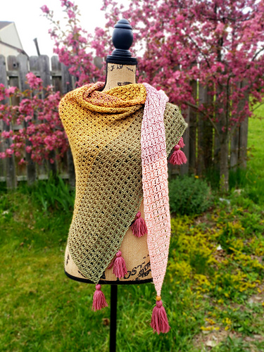 Lisanne Shawl photo 11