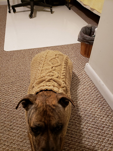 Hundepulli Maxi - dog sweater photo 11