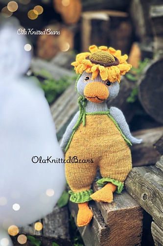 Theo the Gardener, Clothes for Goose