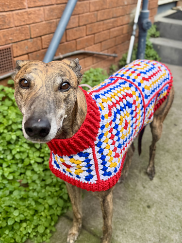 Groovy Granny Greyhound Coat