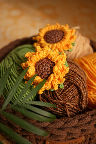 Sunflower photo 4