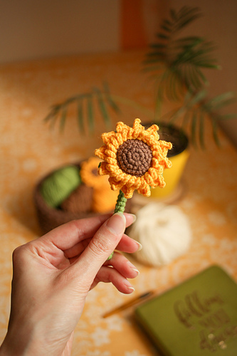 Sunflower photo 1