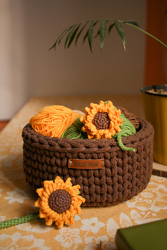 Sunflower photo 3